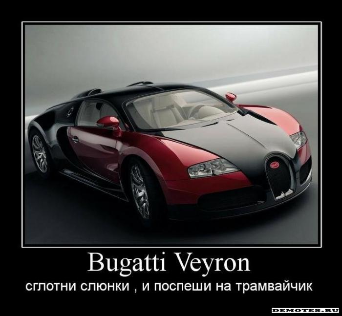 Bugatti Veyron -   ,    