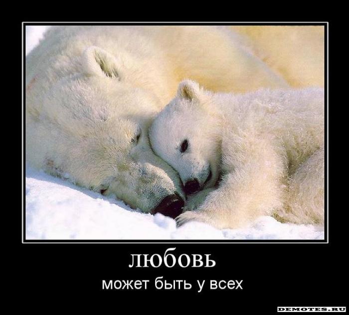 http://demotes.ru/uploads/posts/2010-04/thumbs/1270186961_1lyubov.jpeg