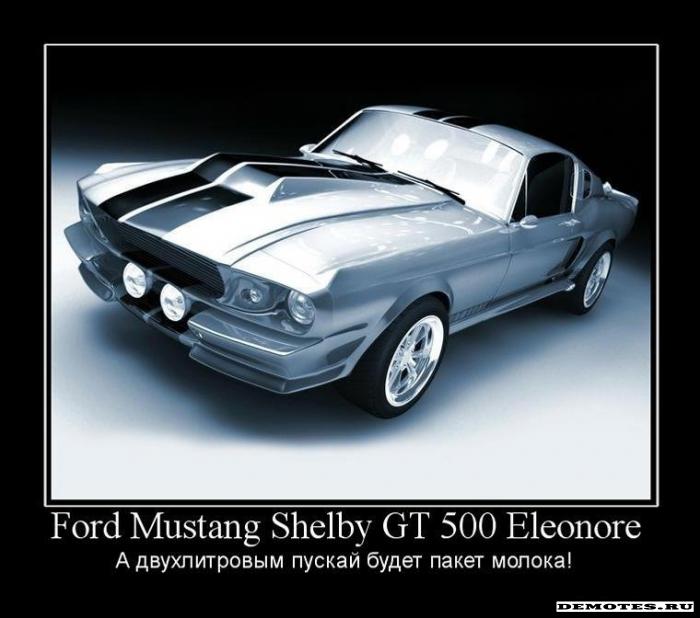 Ford Mustang Shelby GT 500 Eleonore -      !