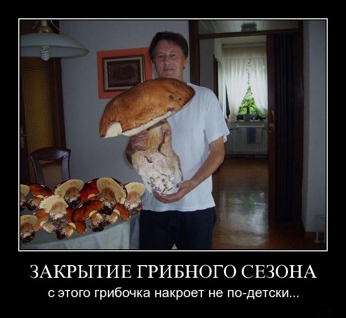 http://demotes.ru/uploads/posts/2010-10/1288424477_hs05z025wjik.jpg